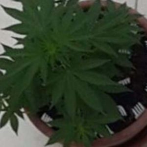 2014-09-02 01:00:00